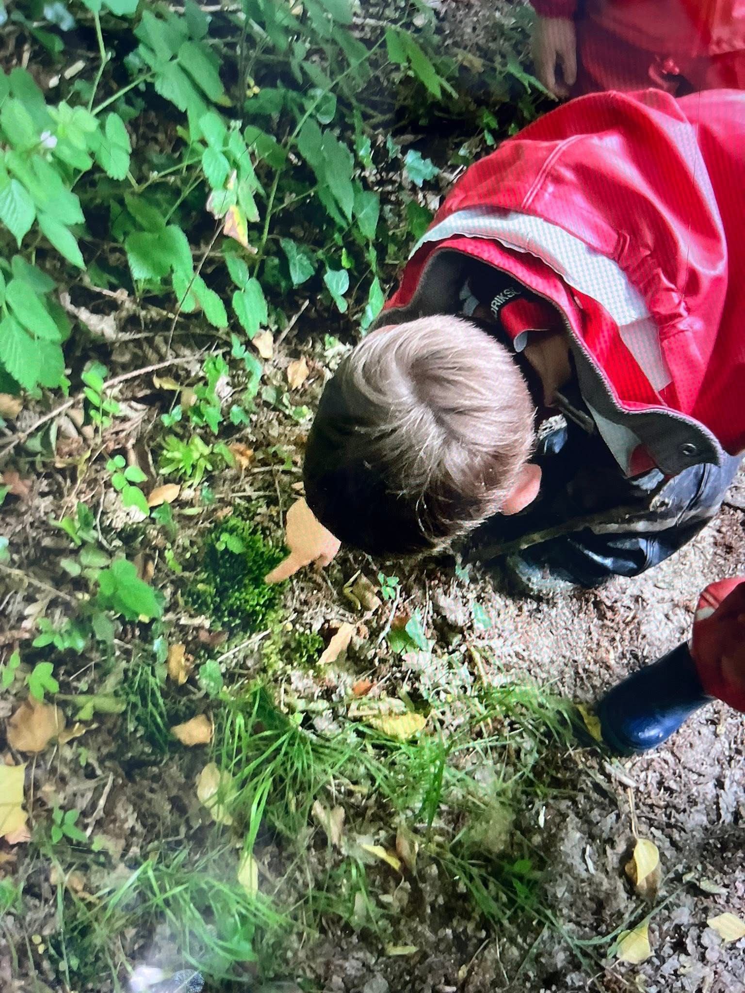 Forestschool image